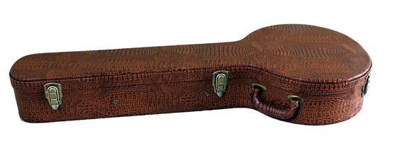 Multi cassa del banjo del compensato 3mm Hardshell con il riempimento interno della schiuma